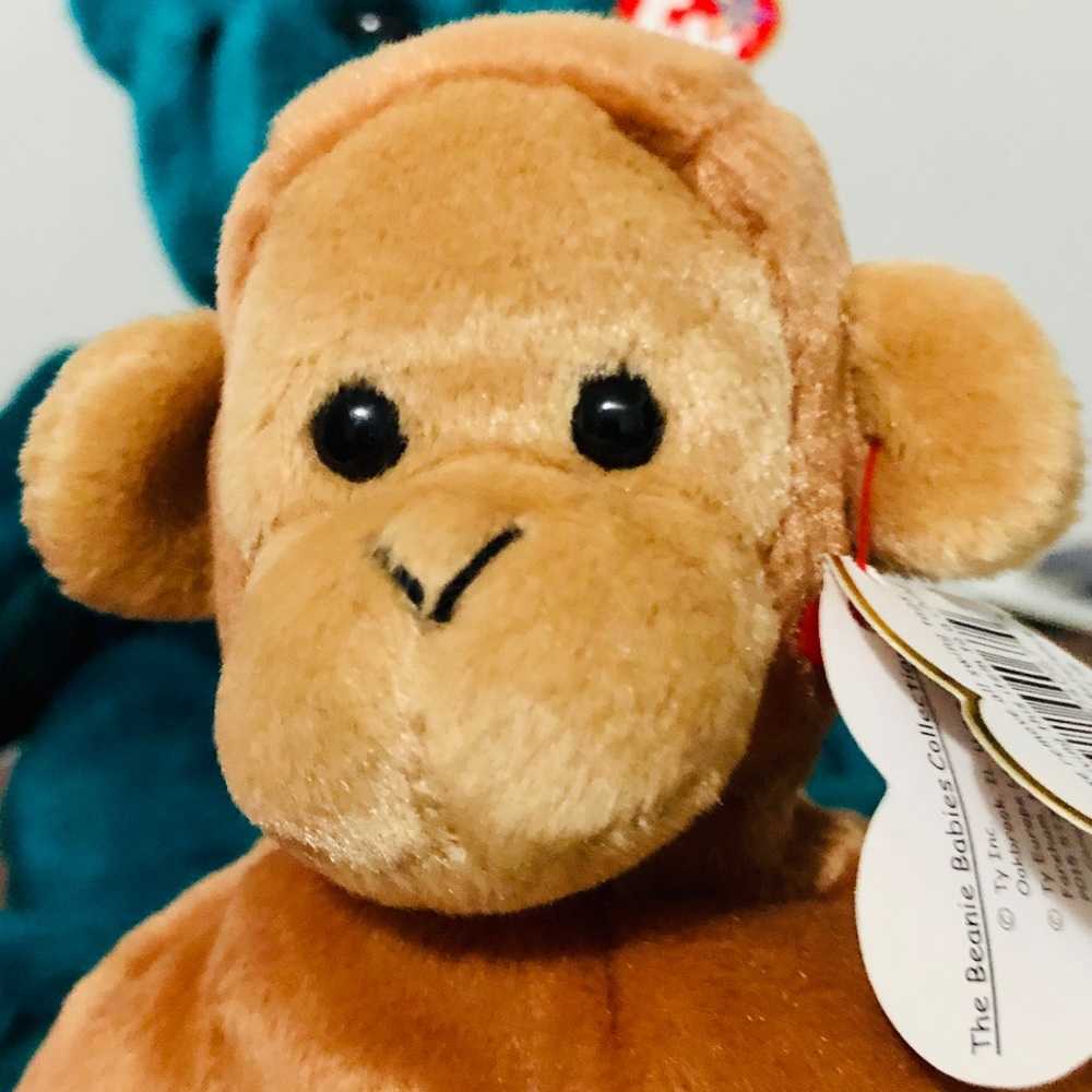 ❌SOLD❌ Ty Teddy/Buddy, Bongo/Baby, Osito/Buddy - Picture 3 of 16